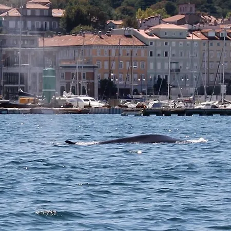 Mary Poppins's House Bed & Breakfast Trieste