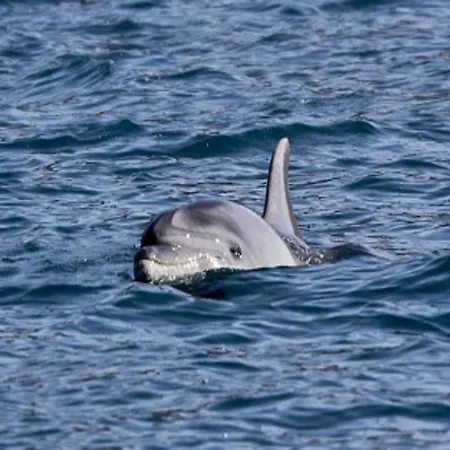 Mary Poppins's House Bed & Breakfast Trieste