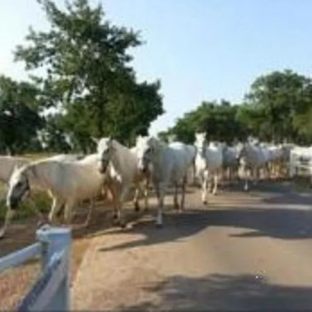 Mary Poppins's House
