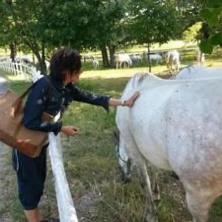Bed & Breakfast Mary Poppins's House