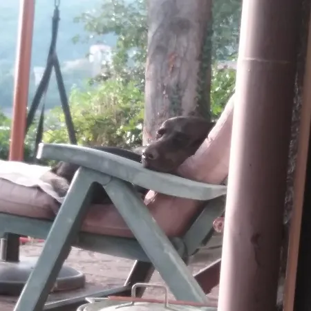 Bed & Breakfast Mary Poppins's House