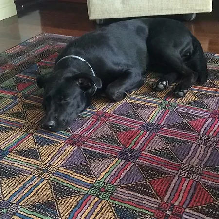 Mary Poppins's House Trieste