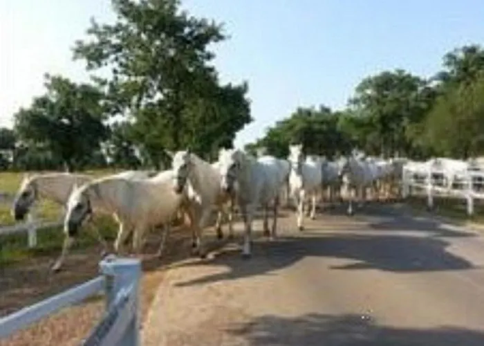 Mary Poppins's House