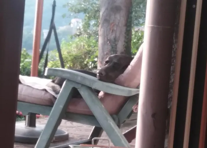 Bed & Breakfast Mary Poppins's House